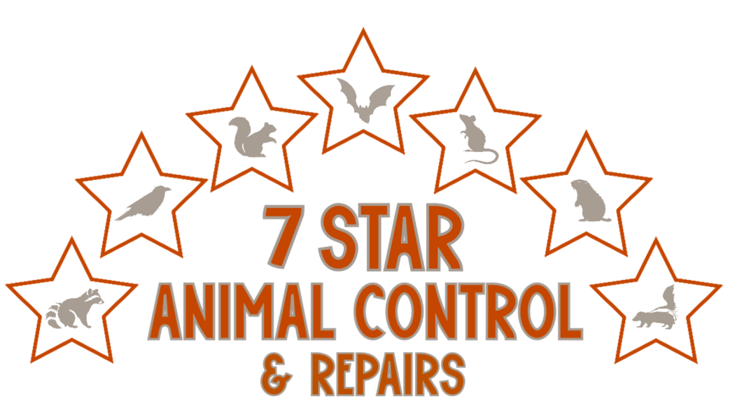 7 Star Animal Control & Repairs LLC